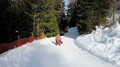 Die Rodelbahn Kottersteg verspricht ein wahres Wintervergnügen
