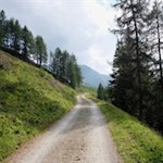 Der gemächlich ansteigende Weg zur Stegeralm