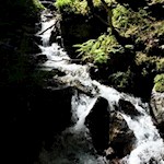 Der naturbelassene Seebach mündet im Schalderer Bach