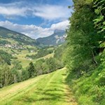 Durch Wald und Wiesen zurück nach St. Peter