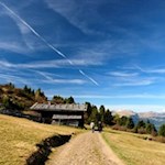 Der Rückweg vom Puflatsch führt durch malerische Almwiesen