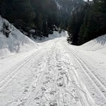 Die Langläufer haben ihre Spuren im Schnee hinterlassen