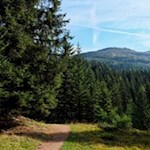 Blick auf den spitz zulaufenden Knieberg aus der Ferne