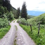 Oberhalb des Bergweilers Tesselberg tritt der Weg in einen Wald ein