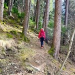 Anstieg durch den Wald nach St. Walburg