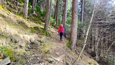 Anstieg durch den Wald nach St. Walburg