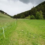 Durch die bunten Blumenwiesen zurück nach Tesselberg