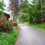 Der Weg nach St. Michael führt auch durch schattenspendende Haine
