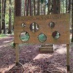 Lustiges Tschurtschenwerfen am Rundweg Bergl