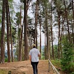 Der Stocknertalweg taucht immer wieder in den Wald ein