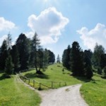 Die letzten Anstiegsmeter zur Ciampcios Hütte