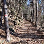 Durch das raschelnde Herbstlaub nach Lajen