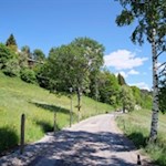 Zunächst folgen wir der asphaltierten Straße