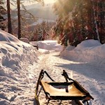 Manch einer wandert auch mit der Rodel zum Hofer Alpl