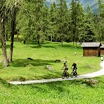 Zahlreiche-Moutainbiker-touren-durch-den-Lärchenwald