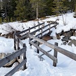 Kleines Brücklein auf dem Weg zur Ochsenhütte