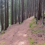 Durch den friedvollen Wald zum Flitzer Wasserfall