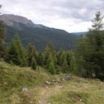 Auf dem Weg Nr. 9A zurück nach Reinswald