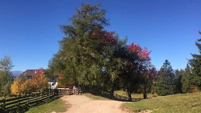 Das idyllisch gelegene Tschaufenhaus