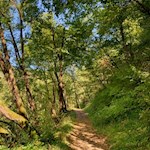 From the Sabiona monastery the hiking trail no. 1 continues towards Pradello