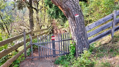 Auf dem kleinen Waldweg Nr. 8 nach Bad Siess