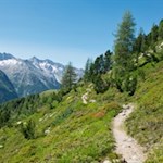 Der Reiner Höhenweg schlängelt sich durch eine zauberhafte Naturkulisse