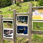 Unterwegs erhält man allerlei Einblicke in die hiesige Naturlandschaft