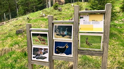 Unterwegs erhält man allerlei Einblicke in die hiesige Naturlandschaft
