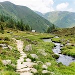 Almidylle am Tiefrastenhüttl