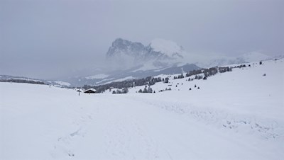 Blick auf den Lang- und Plattkofel