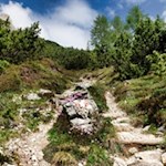 Zuletzt führt der Weg über steinbeschlagenes Gelände