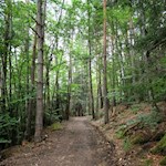 Spazieren auf der Fennpromenade