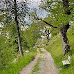 Durch malerische Kastanienhaine nach Feldthurns