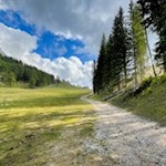 Über die verwaiste Schipiste zur Epircher Laner Alm