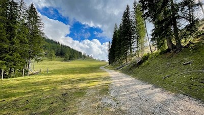 Über die verwaiste Schipiste zur Epircher Laner Alm
