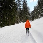 Auf dem Rückweg von der Welschellener Alm