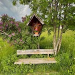 Auf dem Weg zum Tomanegger laden Bänke zum Verweilen ein