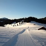 Die Naturrodelbahn bahnt sich ihren Weg durch die Gampenwiesen