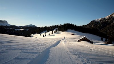 Die Naturrodelbahn bahnt sich ihren Weg durch die Gampenwiesen