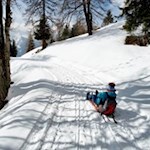 Auf die Kufen, fertig, los!