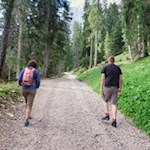 L'escursione alla malga Glatsch Alm si snoda attraverso il bosco