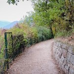 Die Trockenmauern längs des Weges sind ökologische Nischen für eine Vielzahl von Kleintieren und Pflanzen