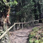 Auf-dem-Weg-nach-St-Georgen