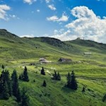 Inmitten idyllischer Almwiesen liegt die Rinneralm
