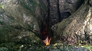 Seit-20-000-Jahren-gräbt-sich-das-Wasser-durch-die-enge-Felsschlucht