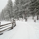 Durch die stille Natur zur Ackerboden Alm bei Brixen