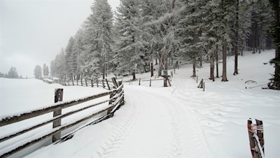 Durch die stille Natur zur Ackerboden Alm bei Brixen