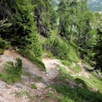 Der Weg Nr. 5 führt zum Sessellift zurück