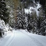 Durch den winterlichen Tann zur Prantneralm