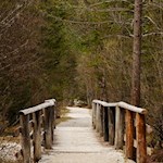 Am Südufer des Toblacher Sees trifft man auf einige Bretterstege